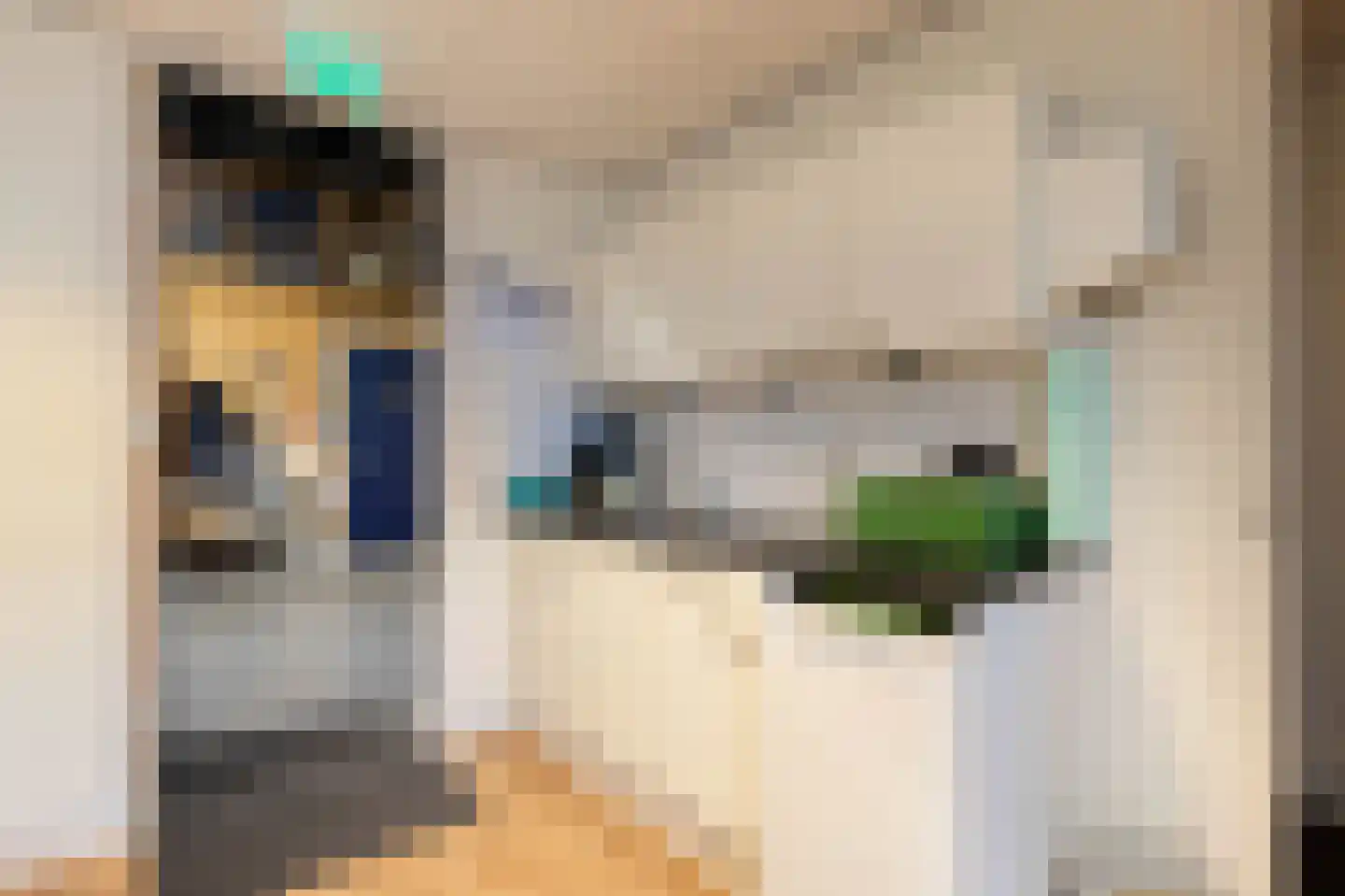 Bonte Kraaiweg 22 Wormerveer thumbnail 25