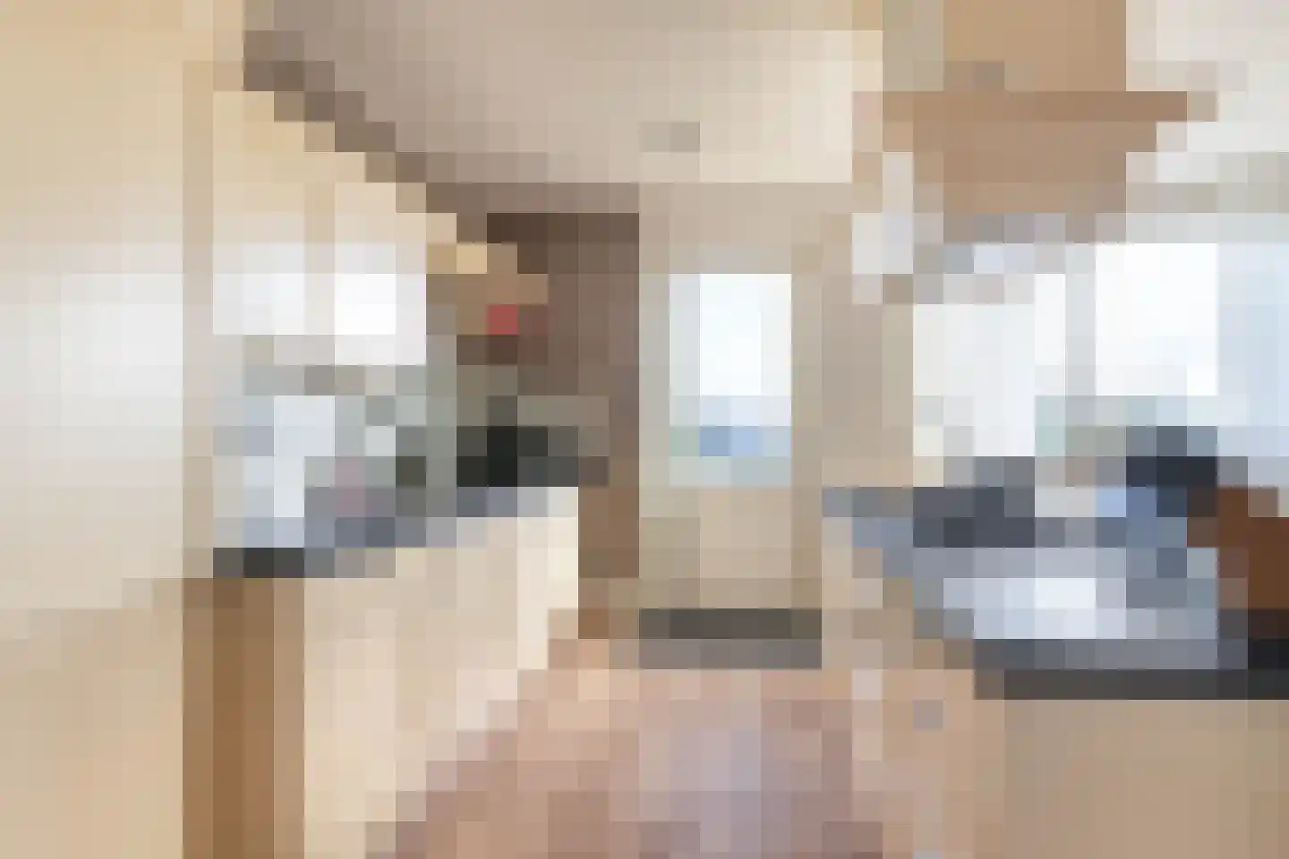 Bonte Kraaiweg 22 Wormerveer thumbnail 30