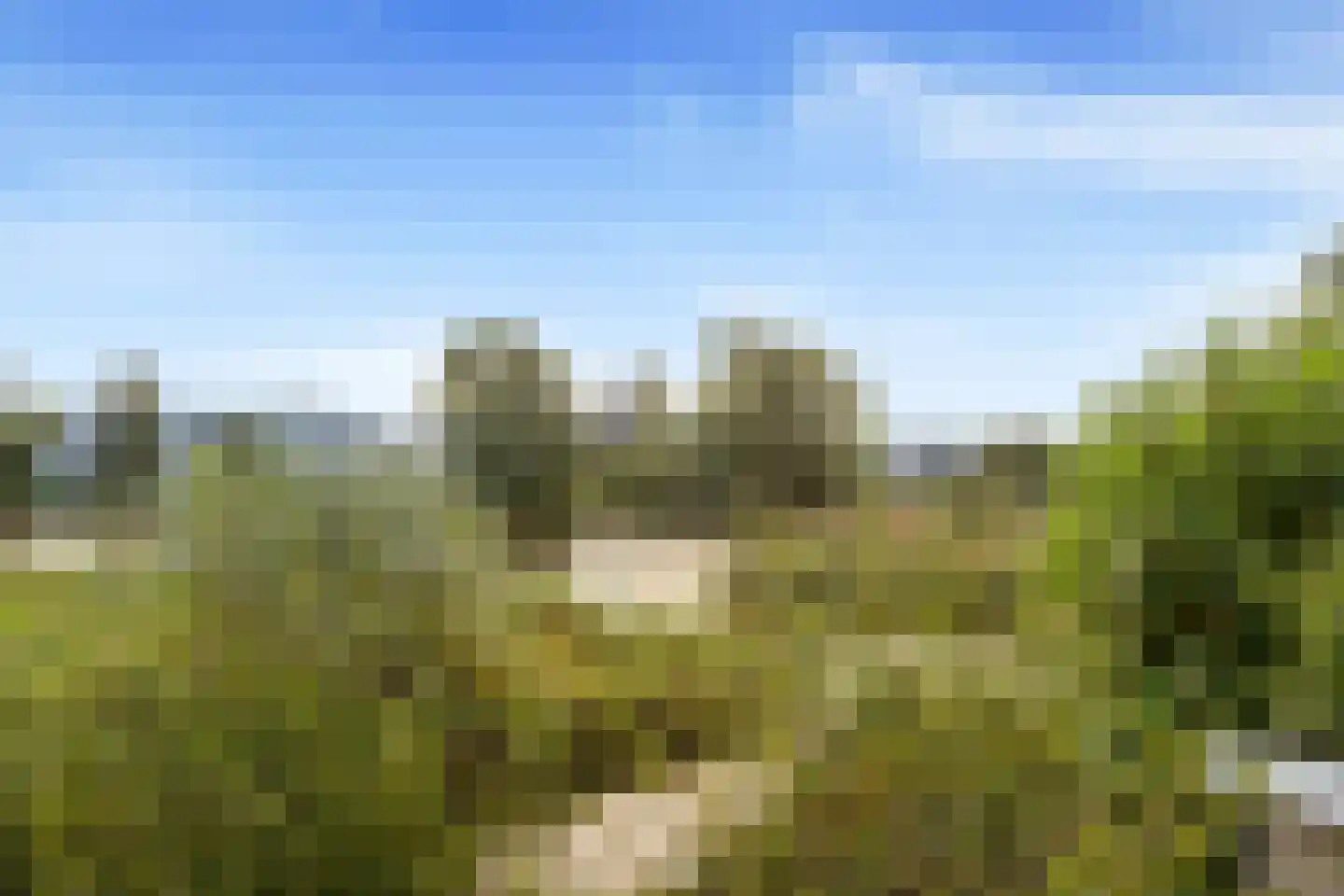 Bonte Kraaiweg 22 Wormerveer thumbnail 43
