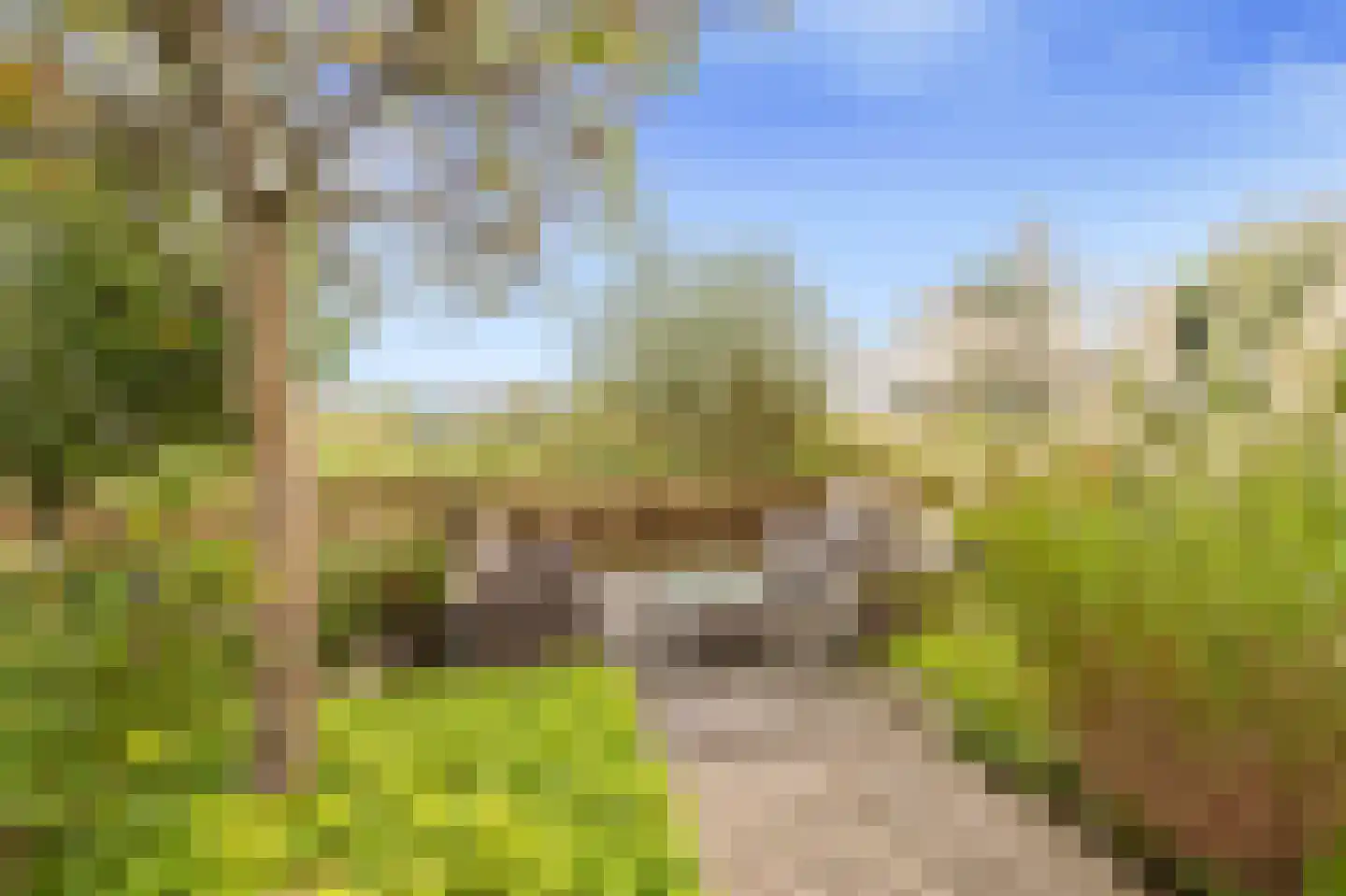 Bonte Kraaiweg 22 Wormerveer thumbnail 58