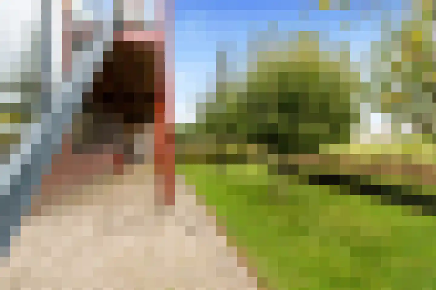 Bonte Kraaiweg 22 Wormerveer thumbnail 59