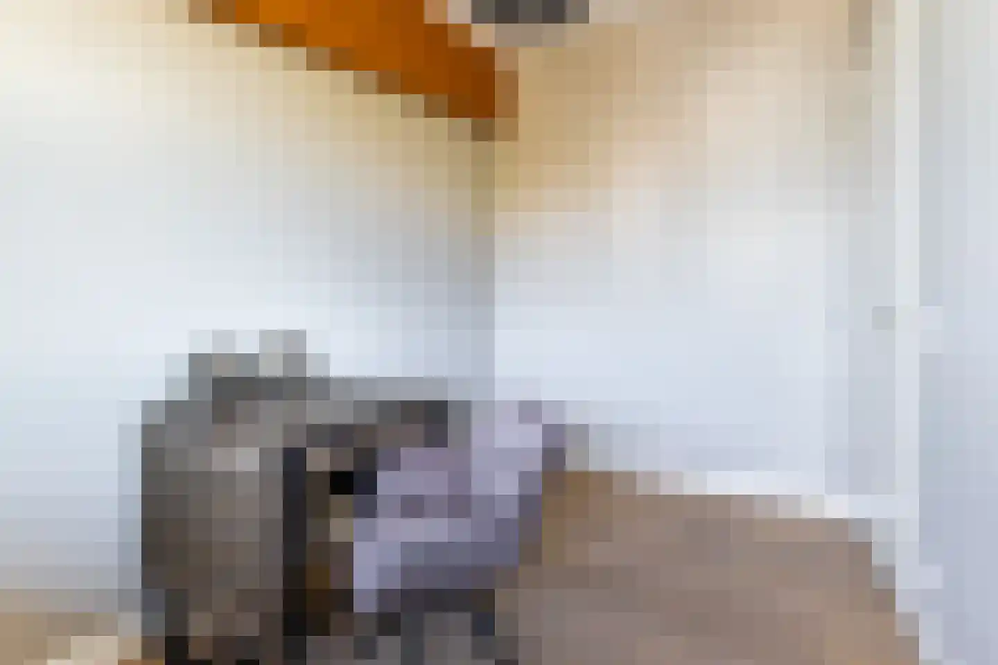 Bonte Kraaiweg 24 Wormerveer thumbnail 34