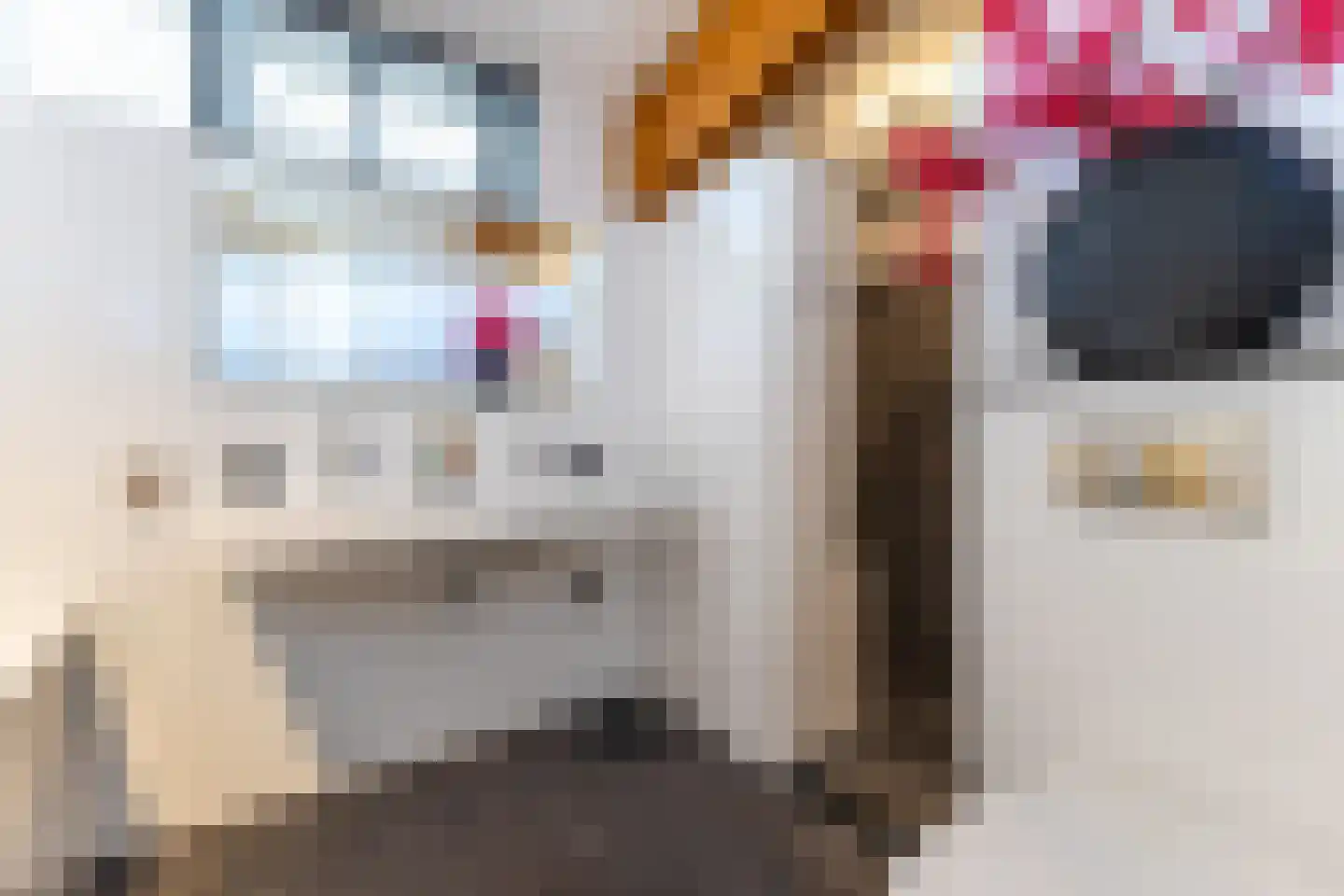 Bonte Kraaiweg 24 Wormerveer thumbnail 35