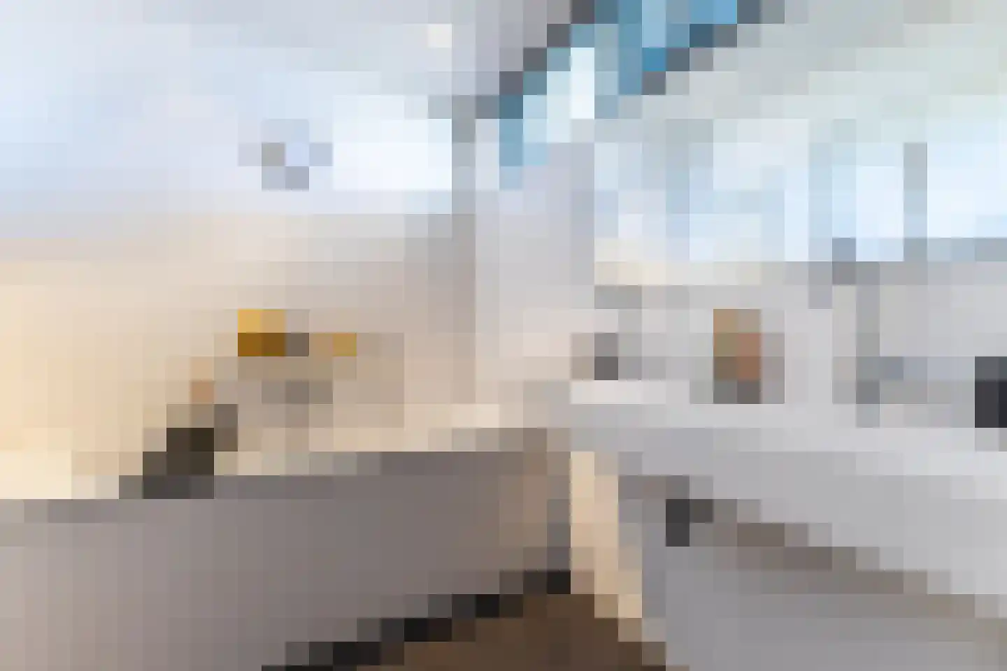 Bonte Kraaiweg 24 Wormerveer thumbnail 36