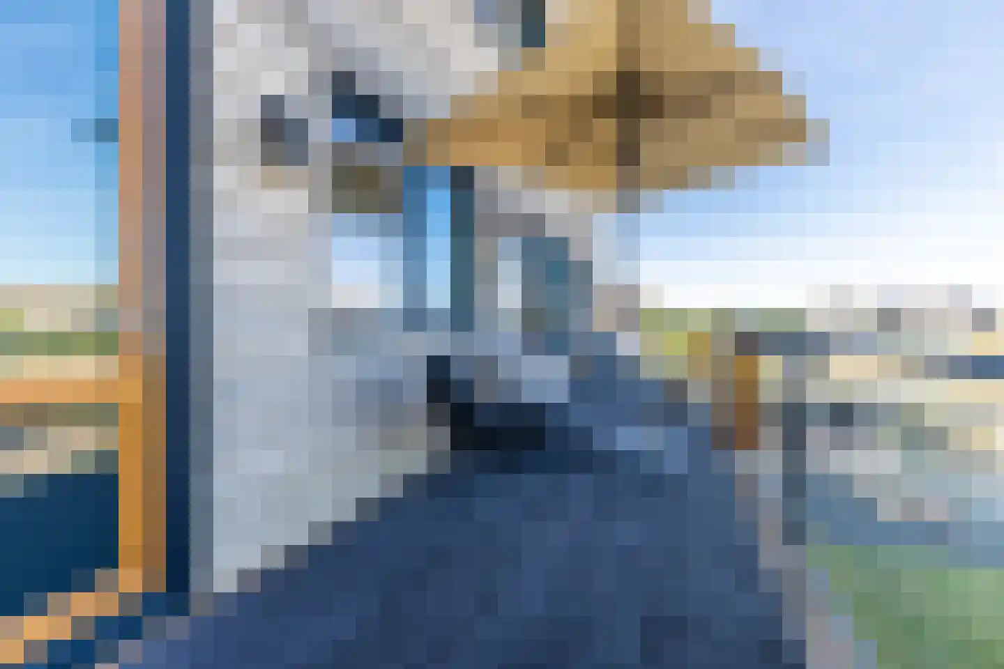 Bonte Kraaiweg 24 Wormerveer thumbnail 44
