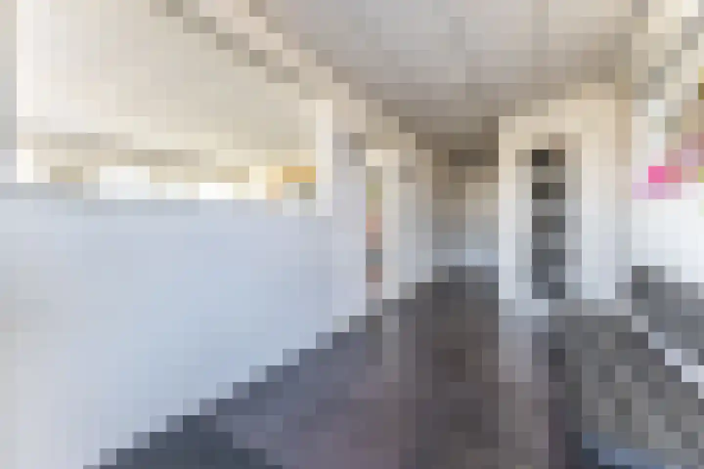 Bonte Kraaiweg 24 Wormerveer thumbnail 66