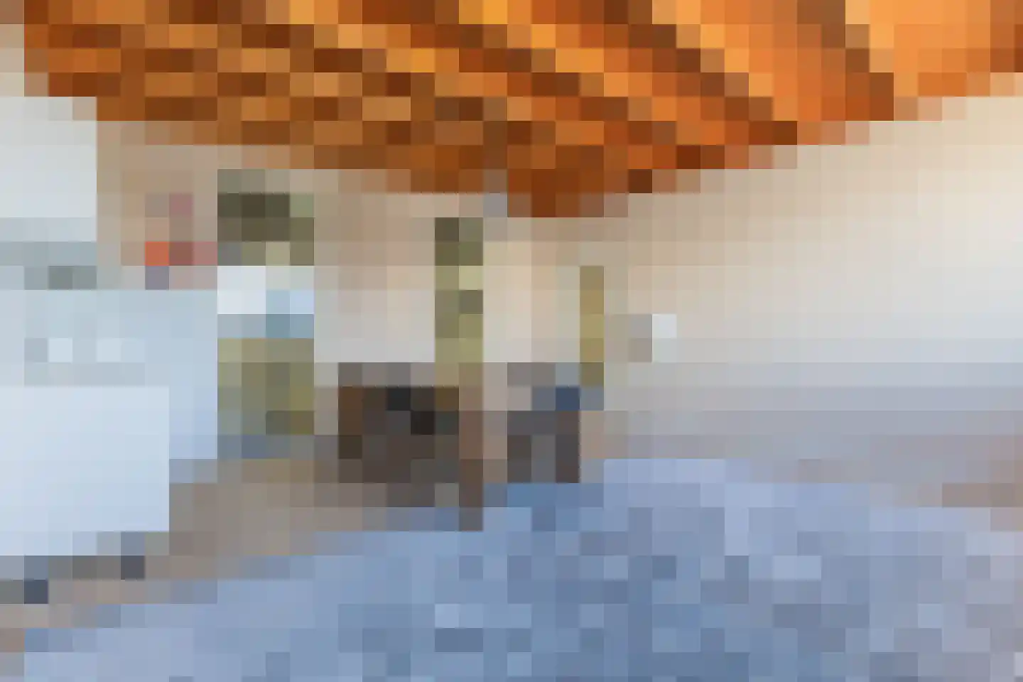 Bonte Kraaiweg 24 Wormerveer thumbnail 90