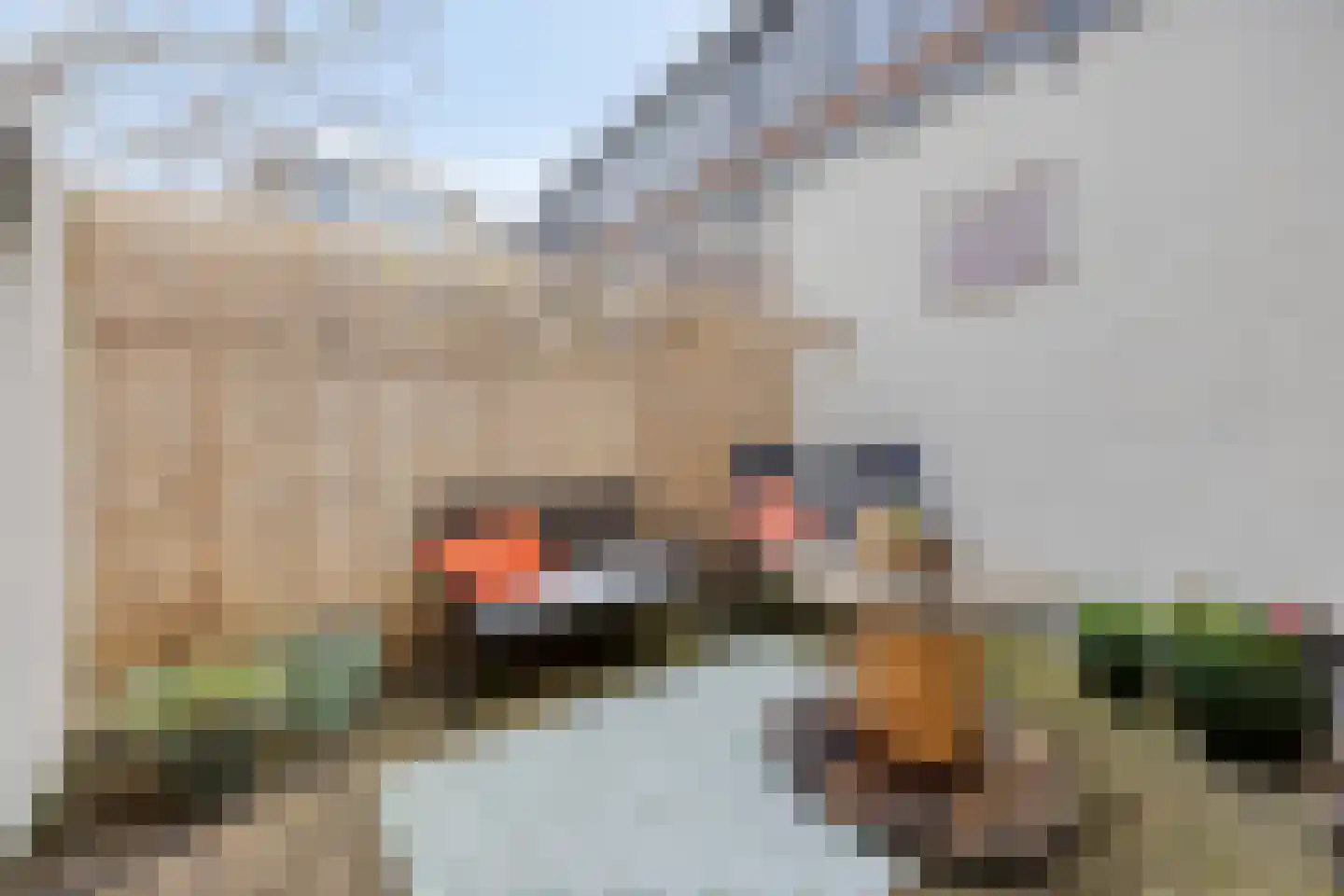 Bonte Paardensteeg 1 Oudewater thumbnail 11