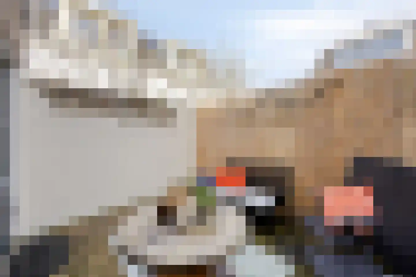 Bonte Paardensteeg 1 Oudewater thumbnail 12