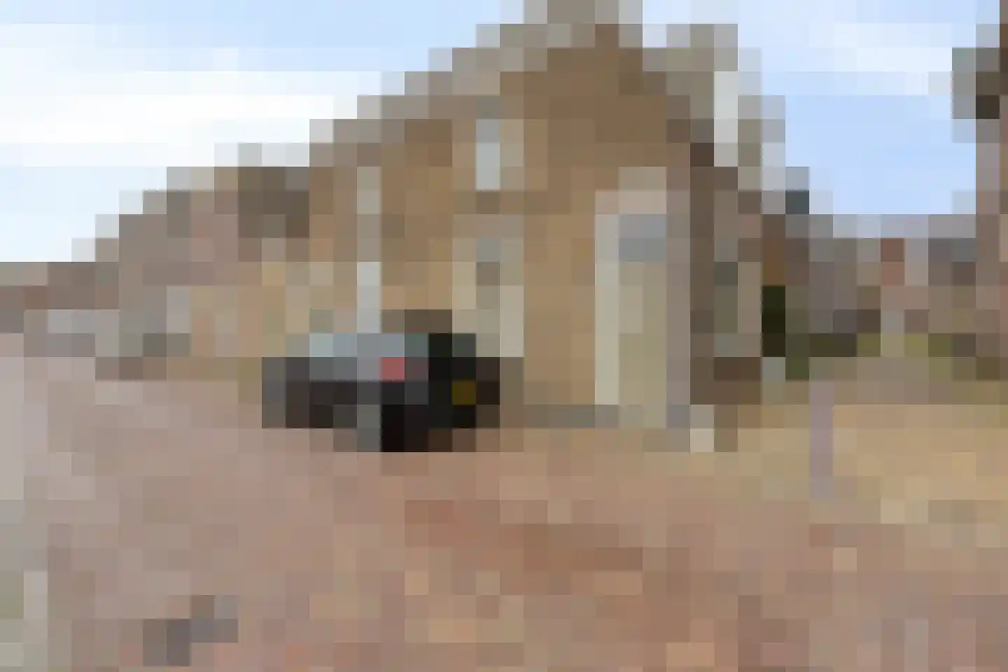 Bonte Paardensteeg 1 Oudewater thumbnail 19