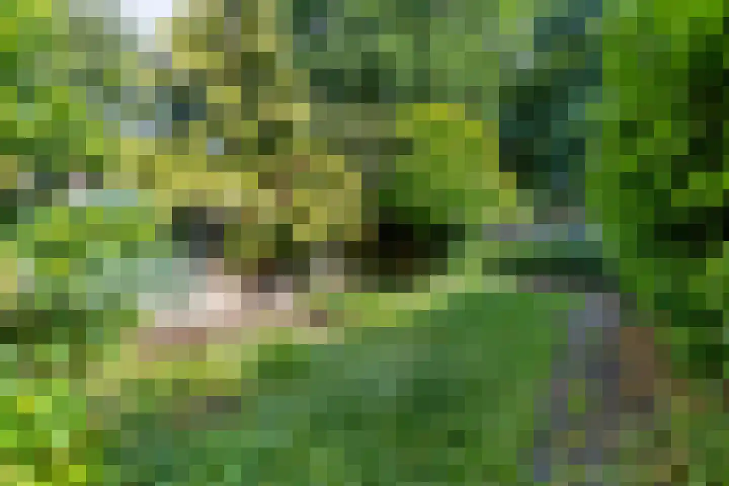 Bonte salie 29 Deventer thumbnail 35