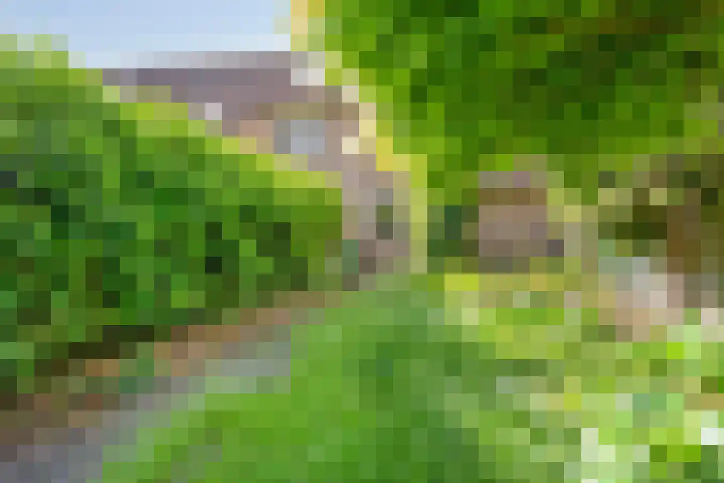Bonte salie 29 Deventer thumbnail 36