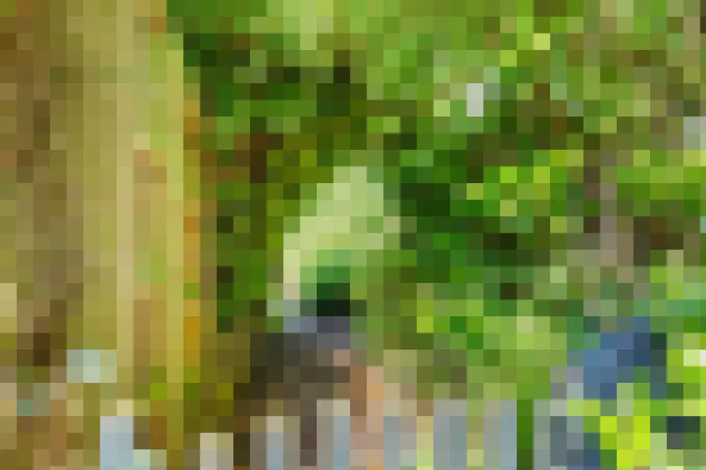 Bonte salie 29 Deventer thumbnail 38