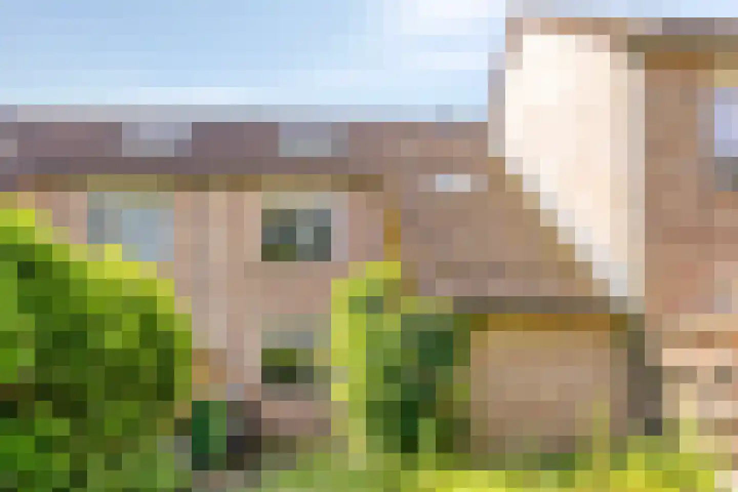 Bonte salie 29 Deventer thumbnail 39