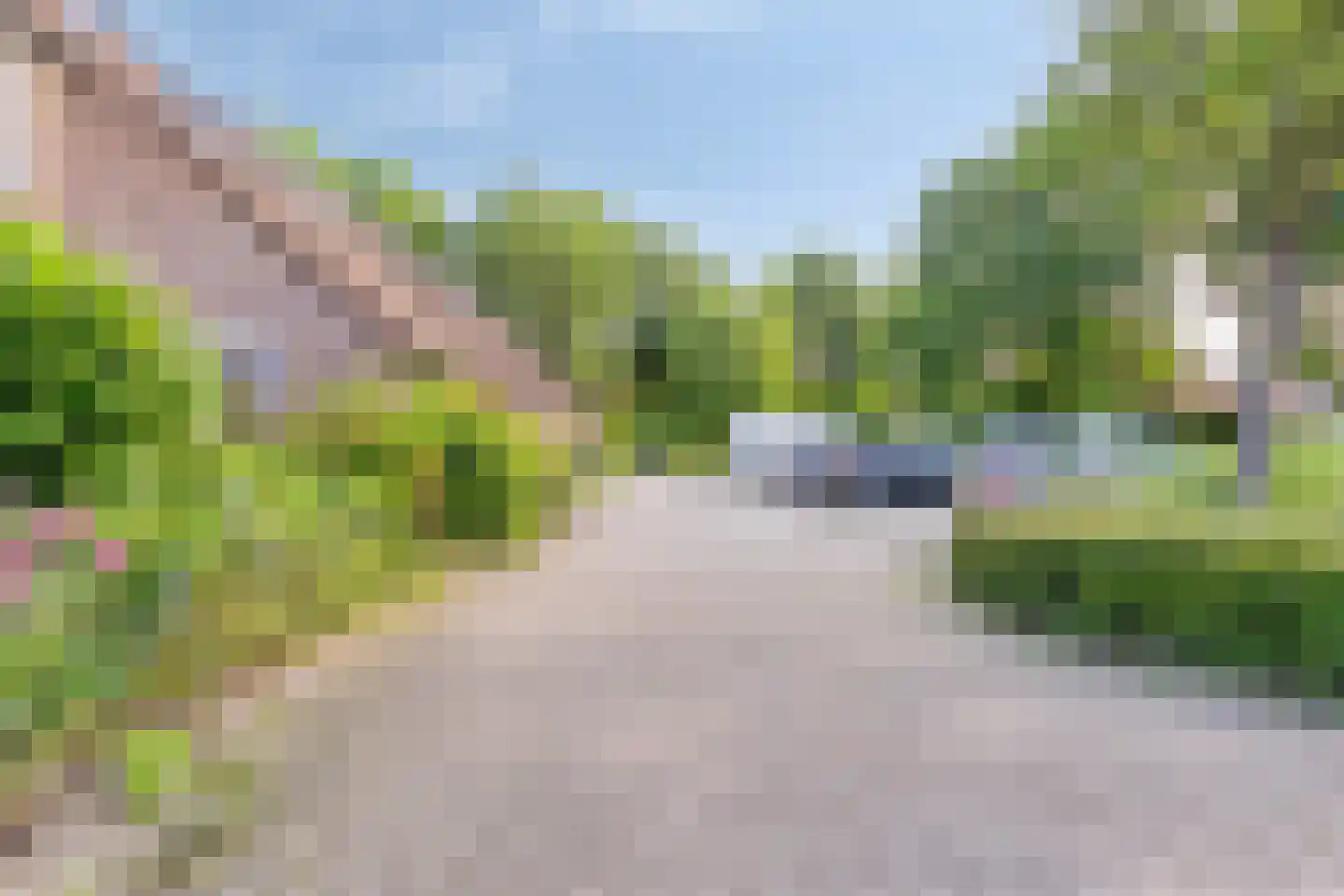 Bonte salie 29 Deventer thumbnail 41