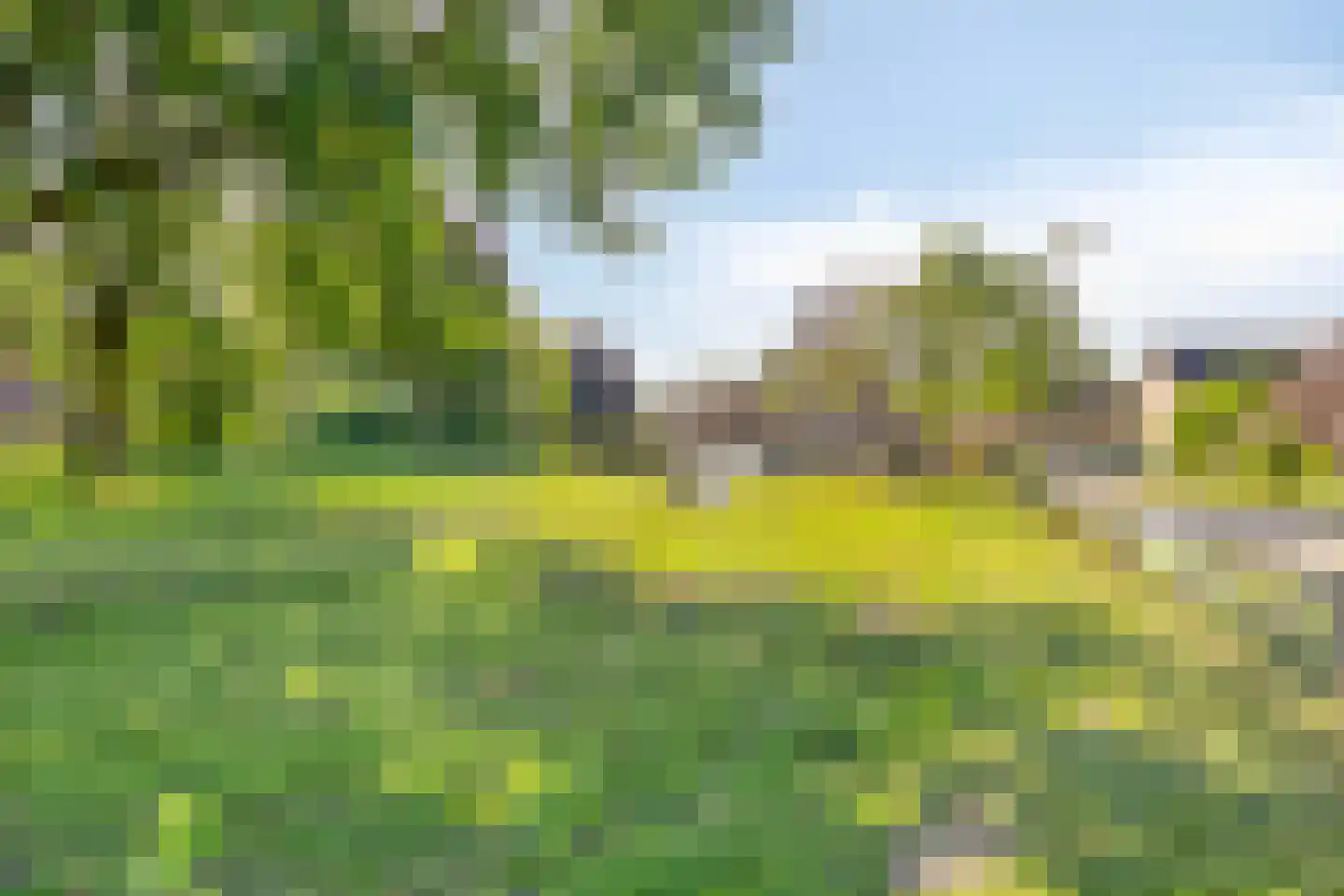 Bonte salie 29 Deventer thumbnail 42