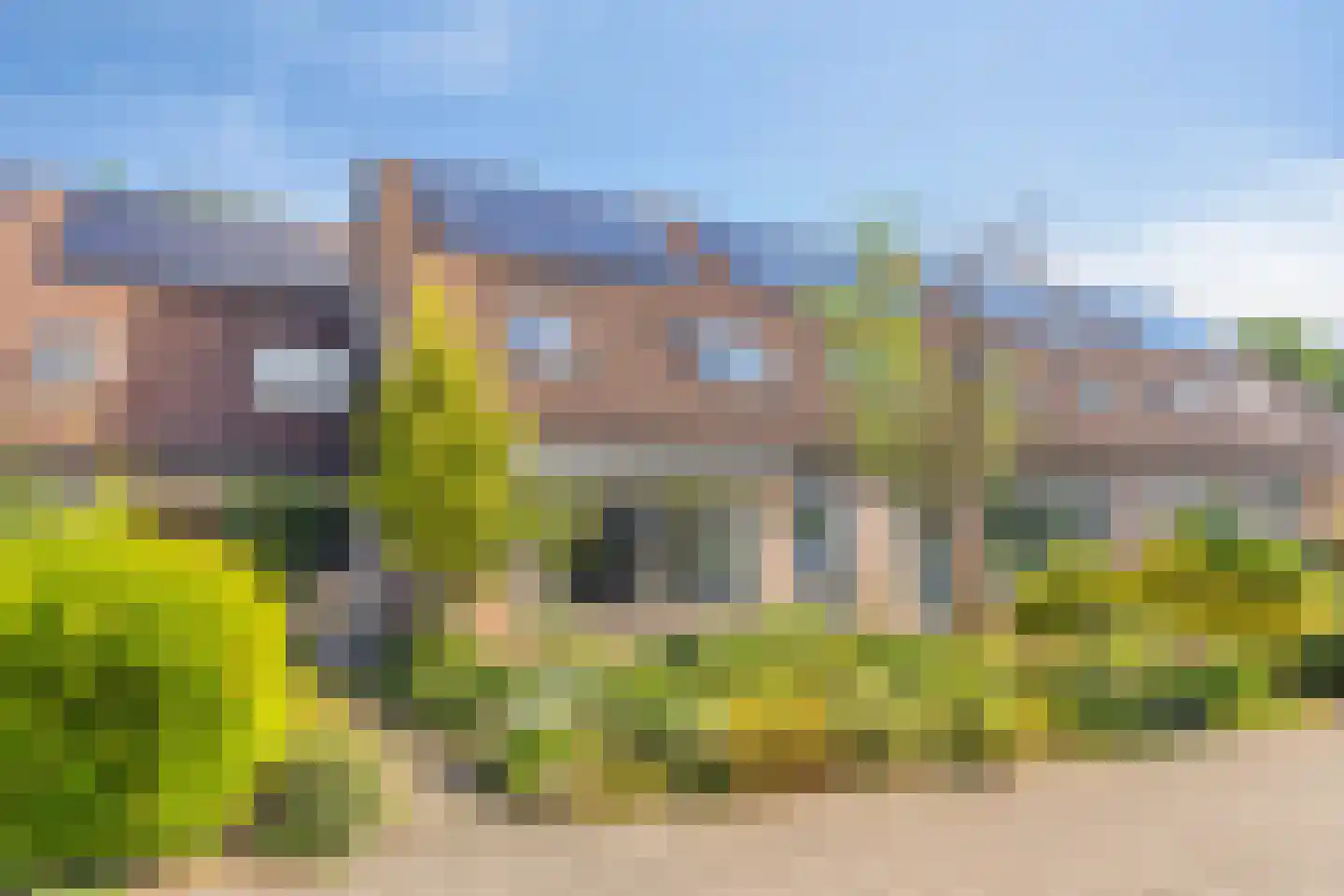 Bonte salie 29 Deventer thumbnail 6