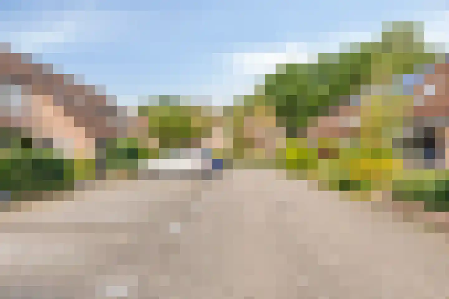Bonte salie 29 Deventer thumbnail 7