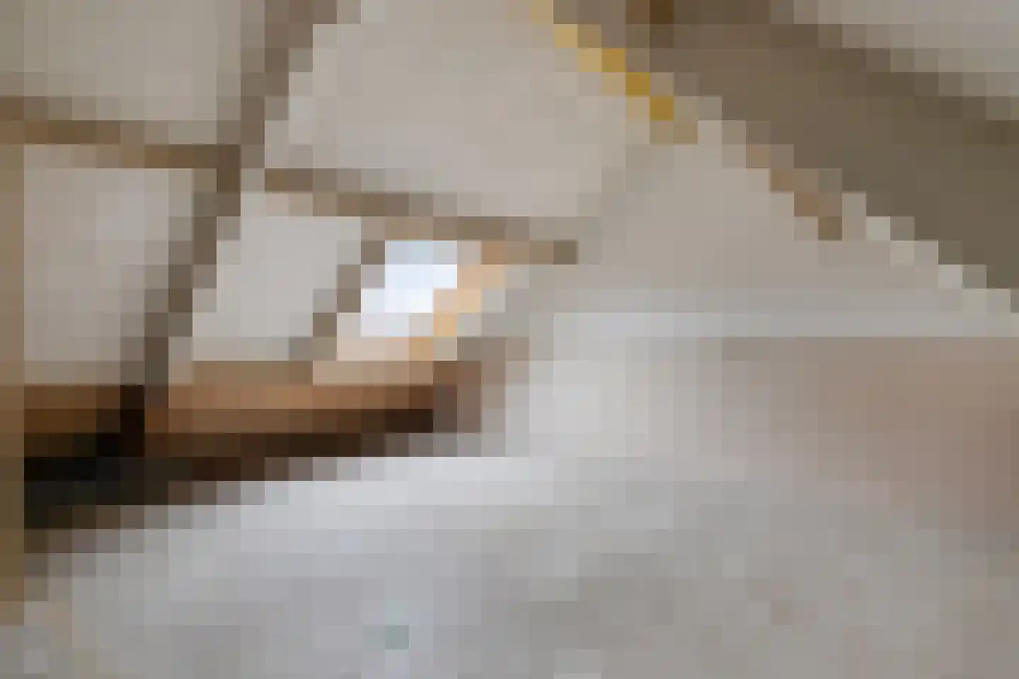 Bonte salie 7 Deventer thumbnail 25
