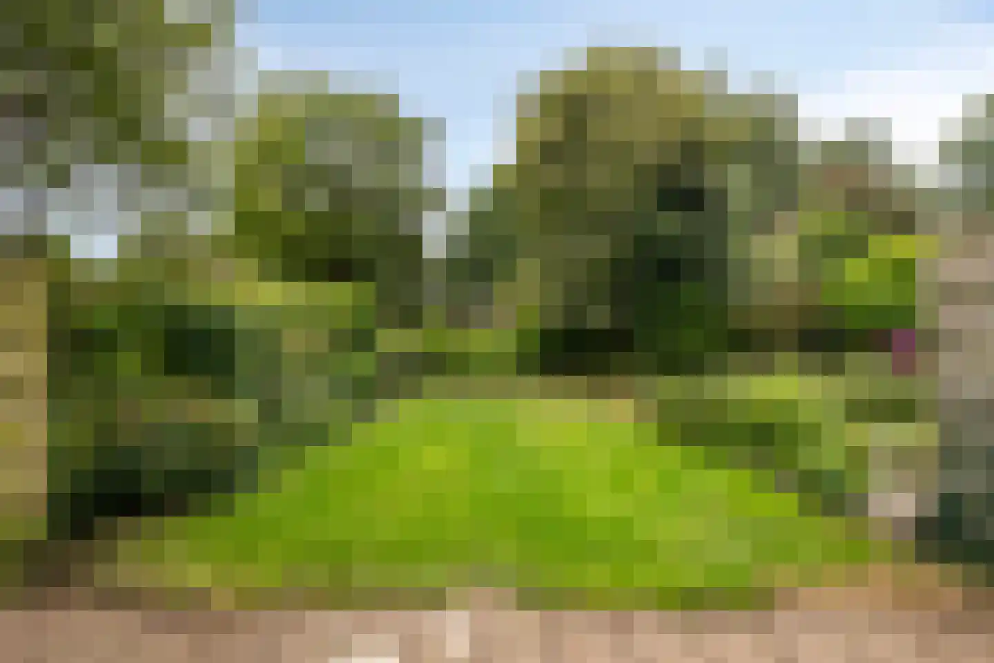 Bonte salie 7 Deventer thumbnail 27