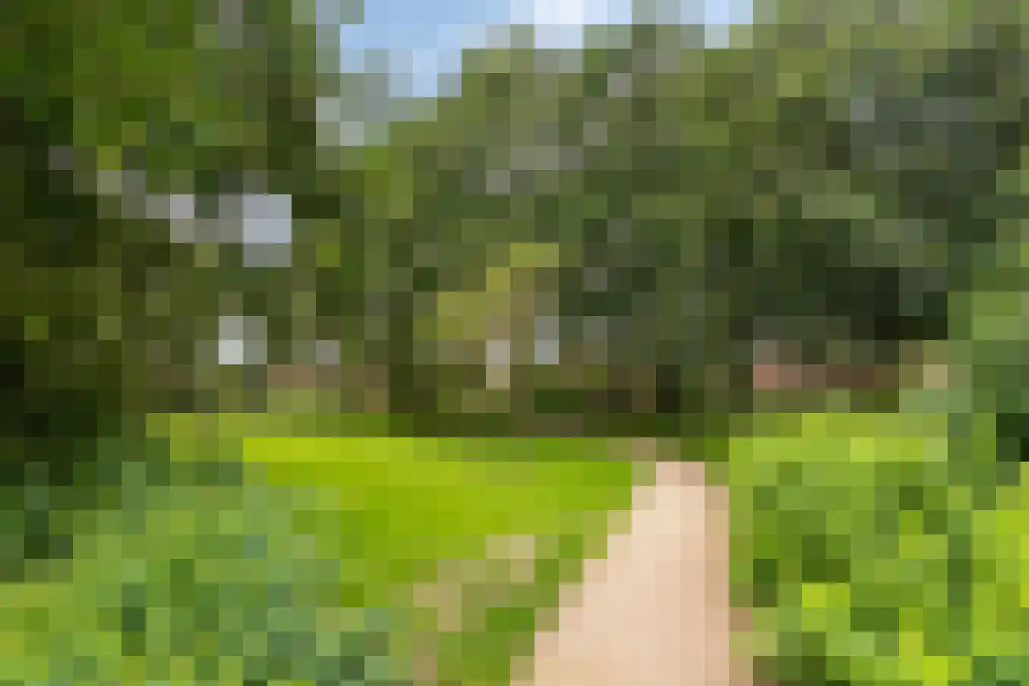 Bonte salie 7 Deventer thumbnail 30