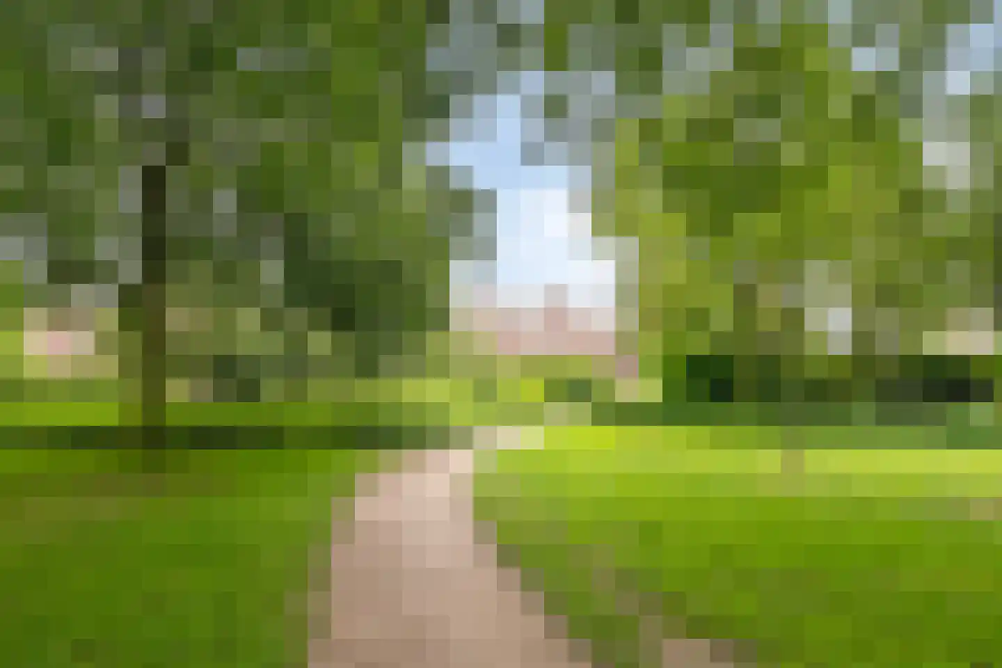 Bonte salie 7 Deventer thumbnail 34