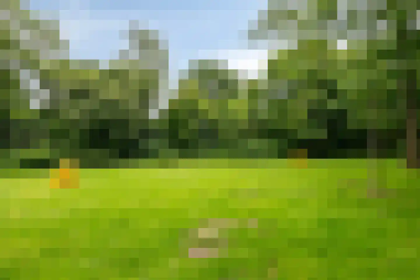 Bonte salie 7 Deventer thumbnail 35