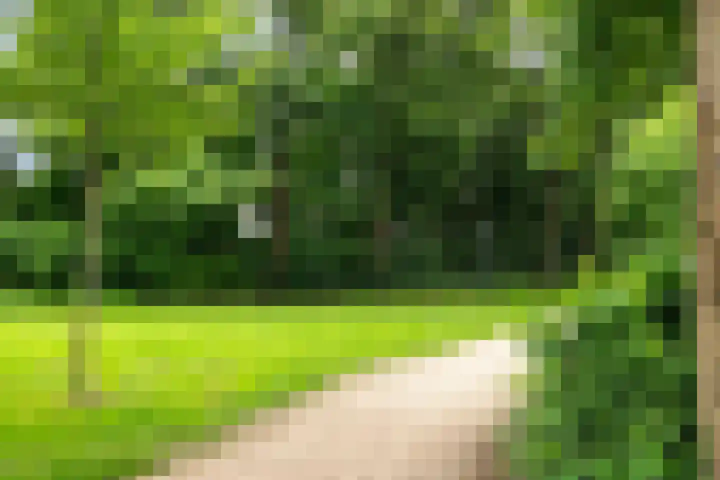 Bonte salie 7 Deventer thumbnail 36