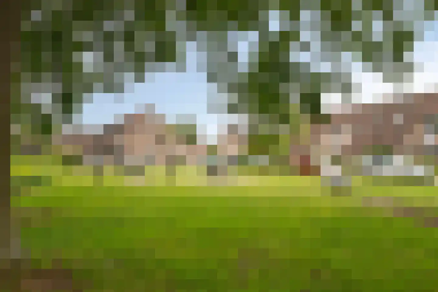 Bonte salie 7 Deventer thumbnail 37