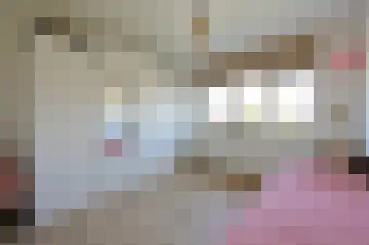 Bonte Specht 12 Zeewolde thumbnail 17