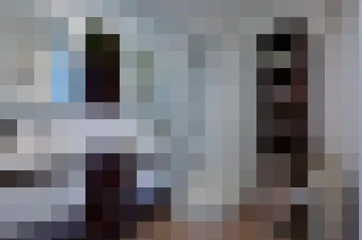Bonte Specht 12 Zeewolde thumbnail 18