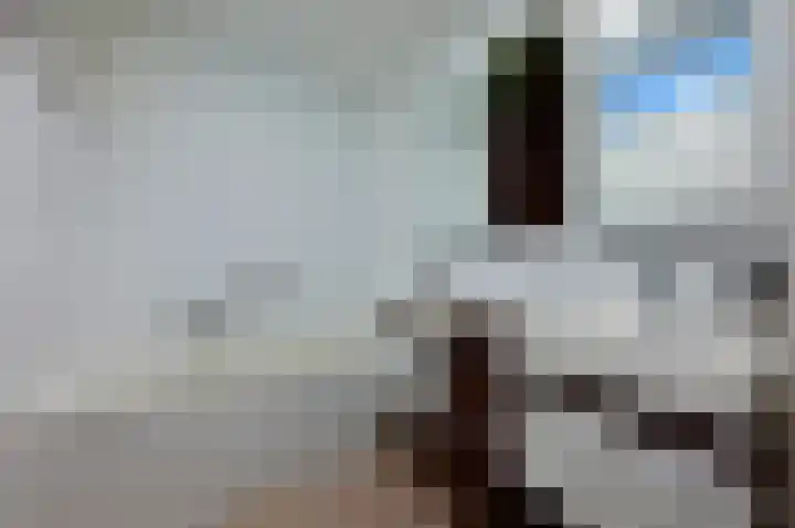 Bonte Specht 12 Zeewolde thumbnail 19