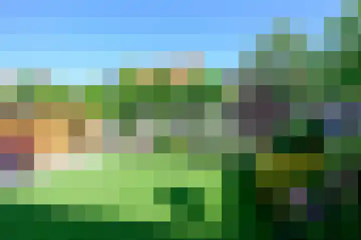 Bonte Specht 12 Zeewolde thumbnail 23