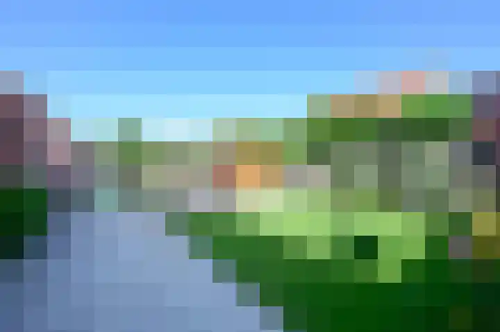 Bonte Specht 12 Zeewolde thumbnail 24