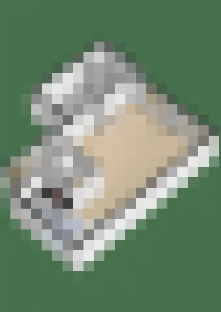 Bonte Specht 12 Zeewolde thumbnail 36