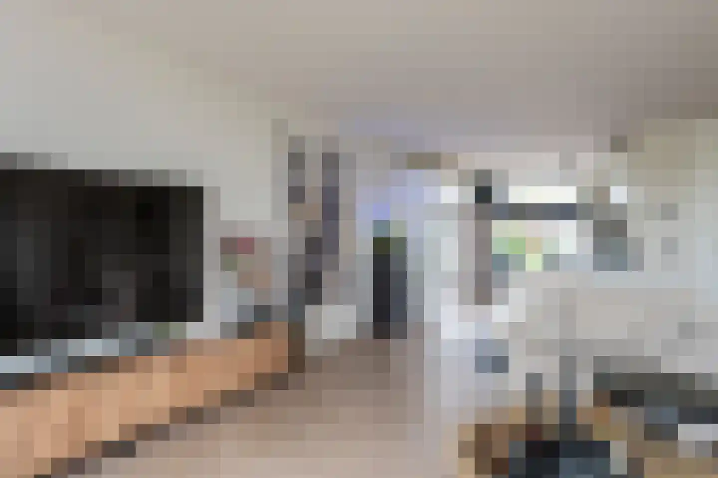 Bonte Specht 27 Emmen thumbnail 10