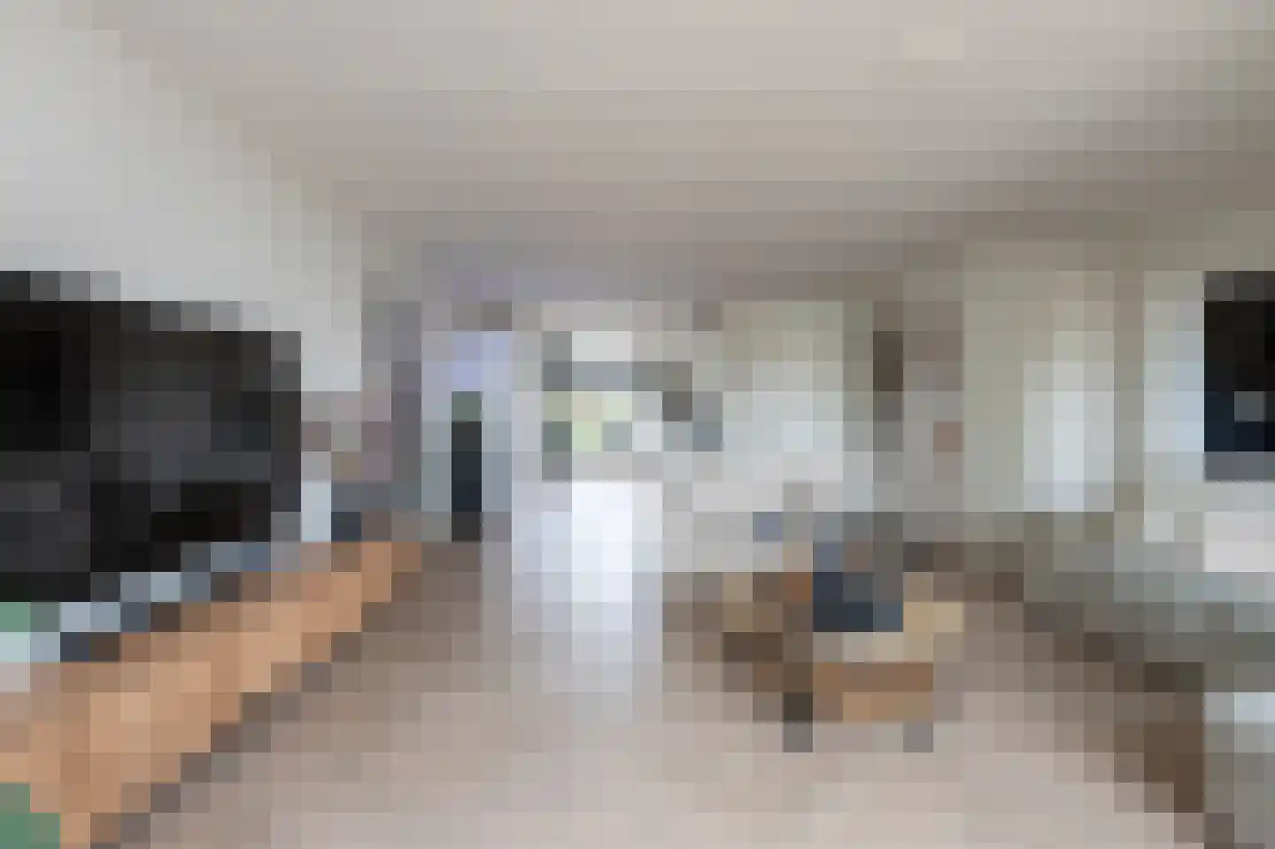 Bonte Specht 27 Emmen thumbnail 12
