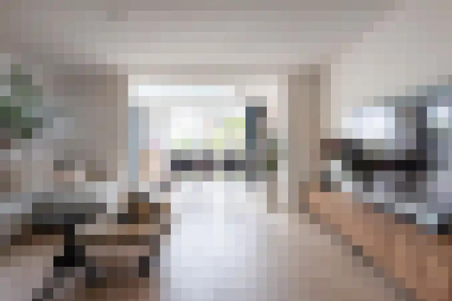 Bonte Specht 27 Emmen thumbnail 13
