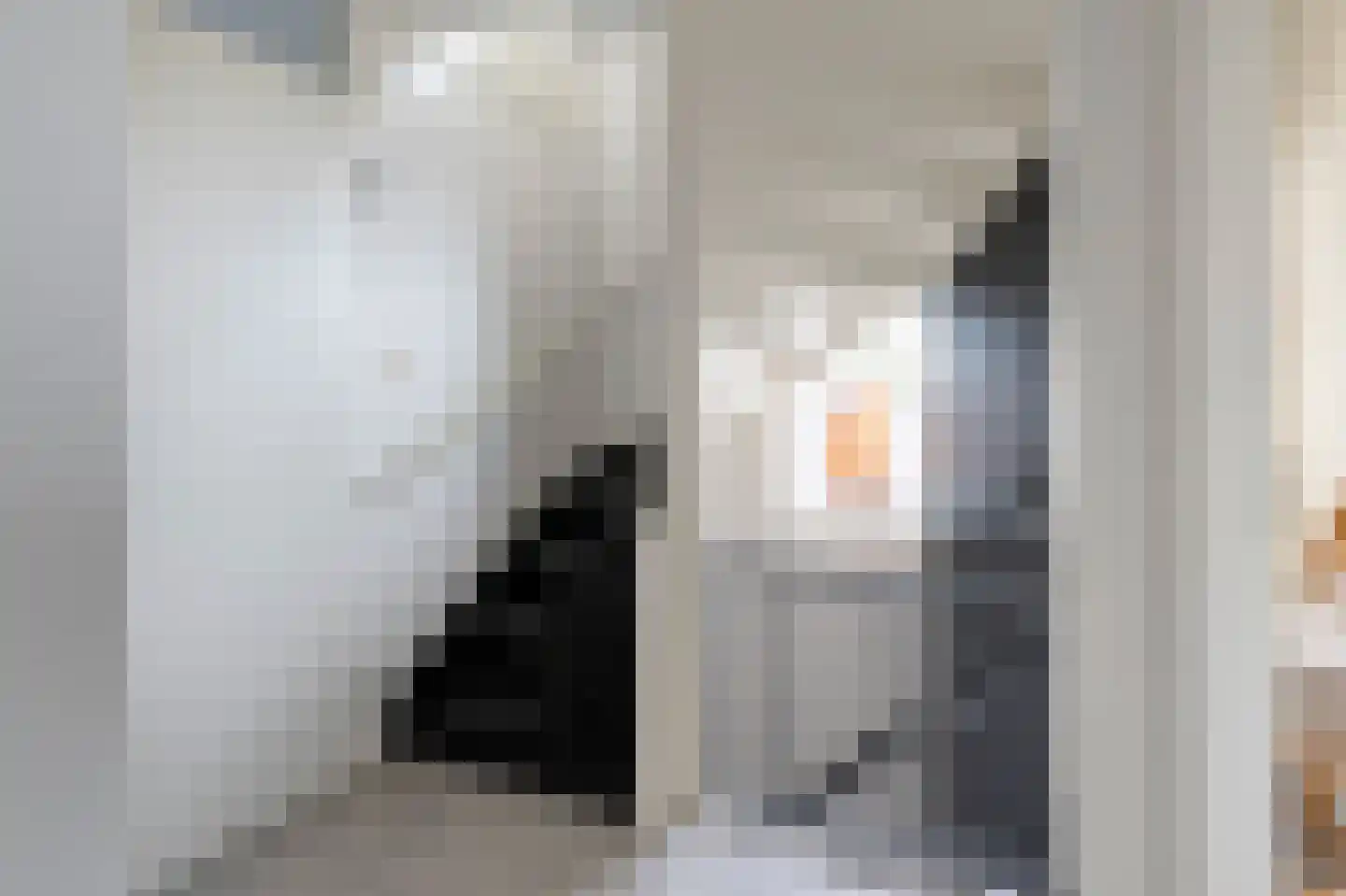 Bonte Specht 27 Emmen thumbnail 17
