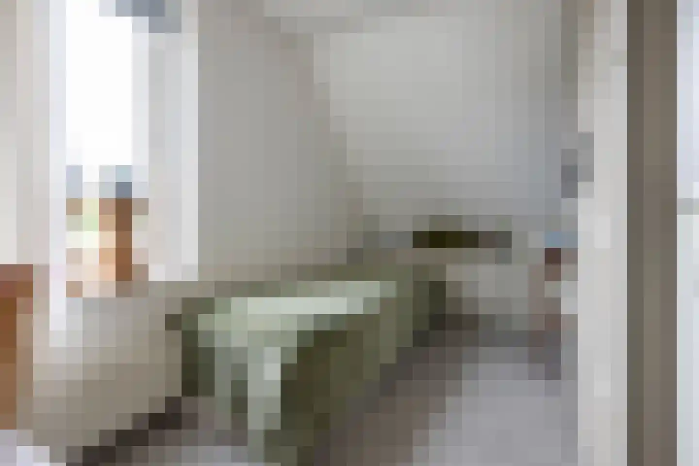 Bonte Specht 27 Emmen thumbnail 19