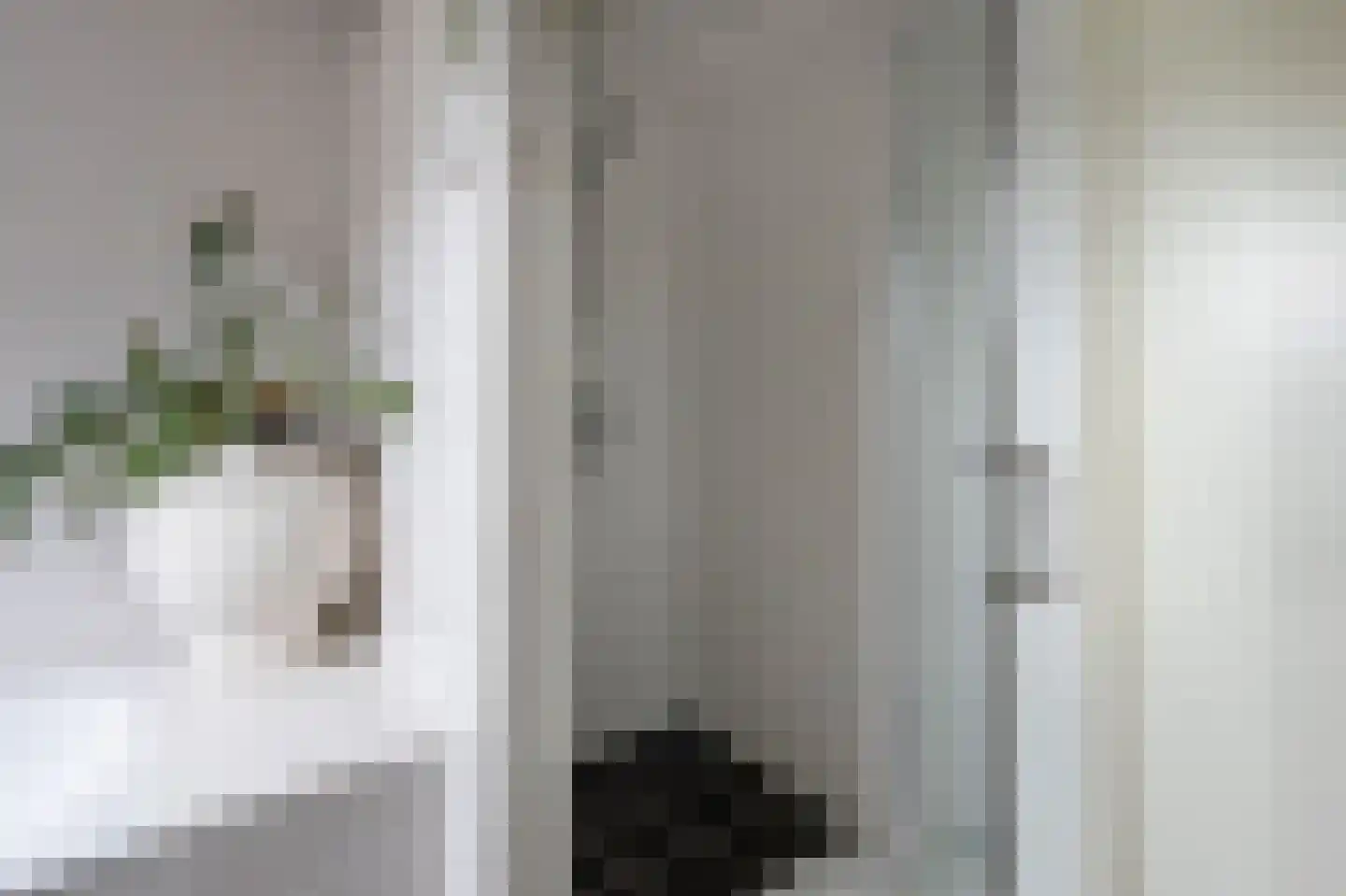 Bonte Specht 27 Emmen thumbnail 23