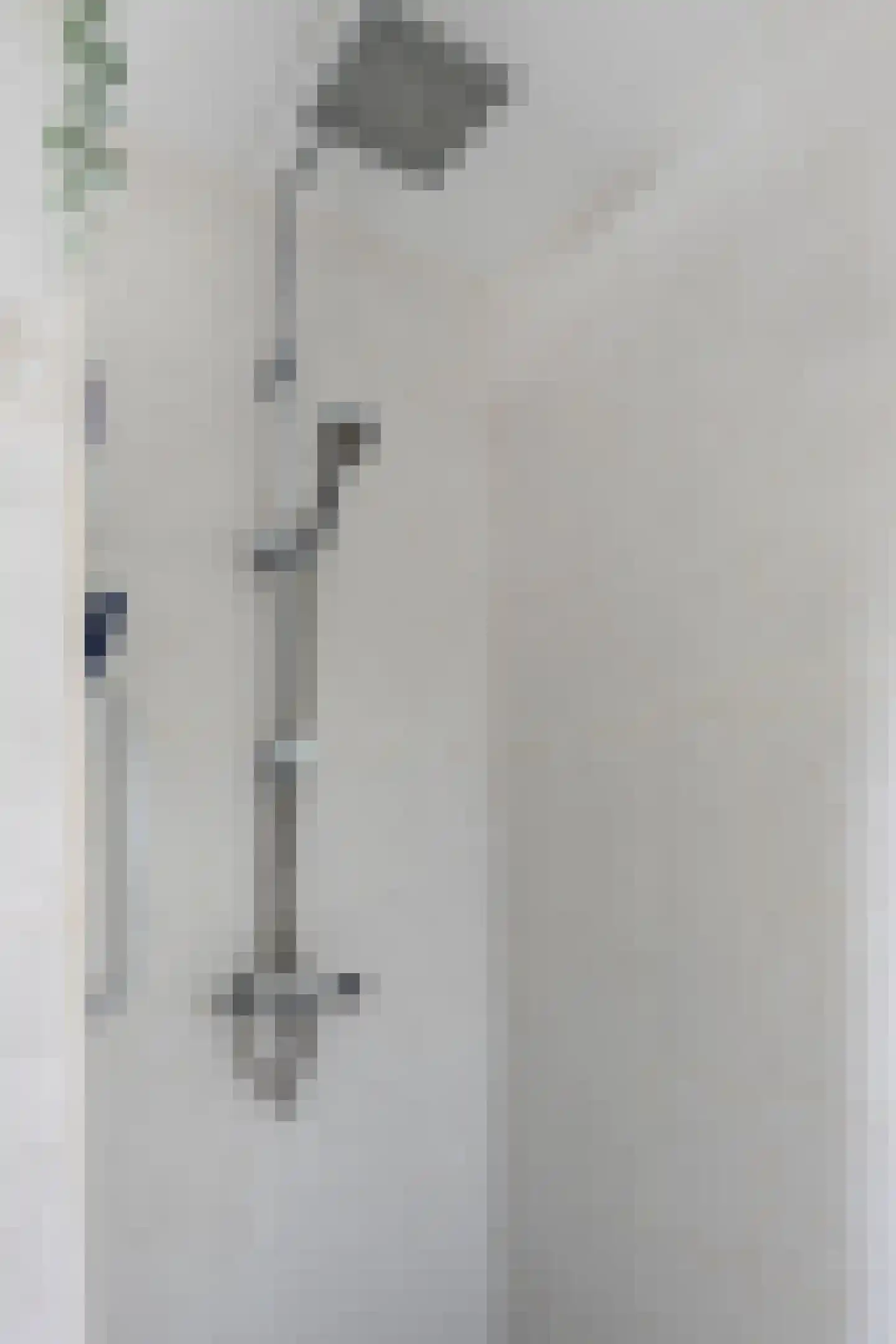 Bonte Specht 27 Emmen thumbnail 24