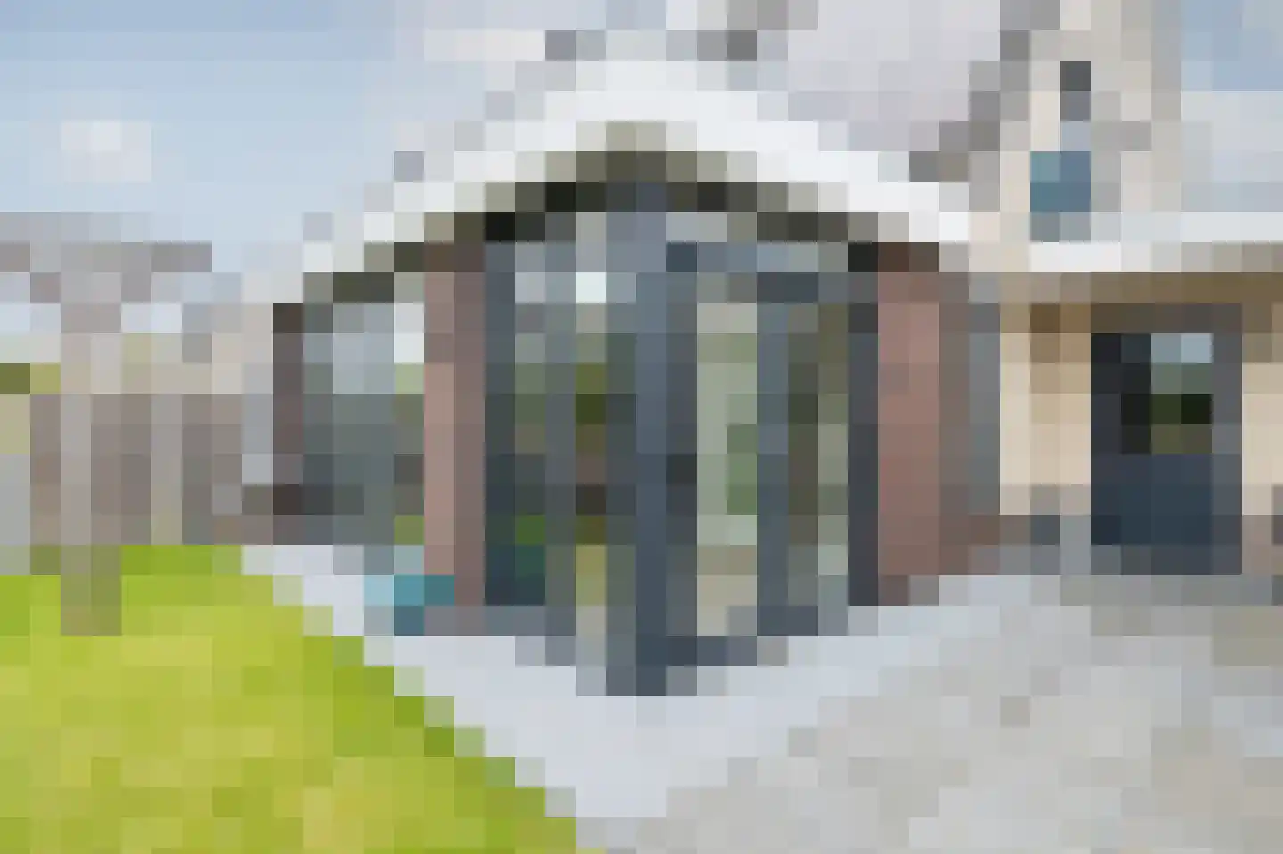 Bonte Specht 27 Emmen thumbnail 27