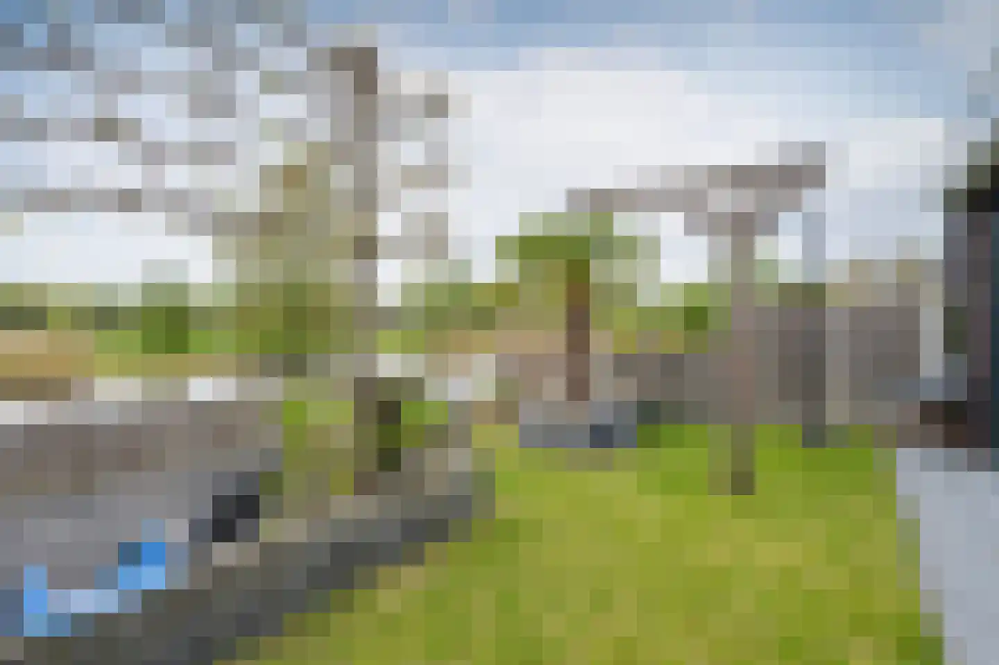 Bonte Specht 27 Emmen thumbnail 28