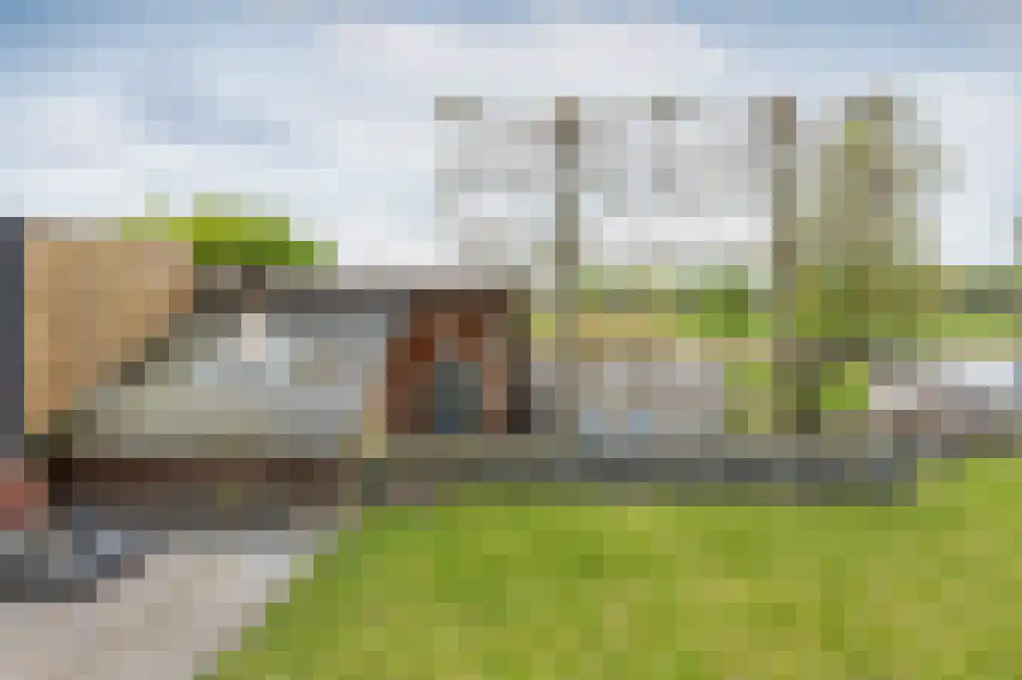 Bonte Specht 27 Emmen thumbnail 29