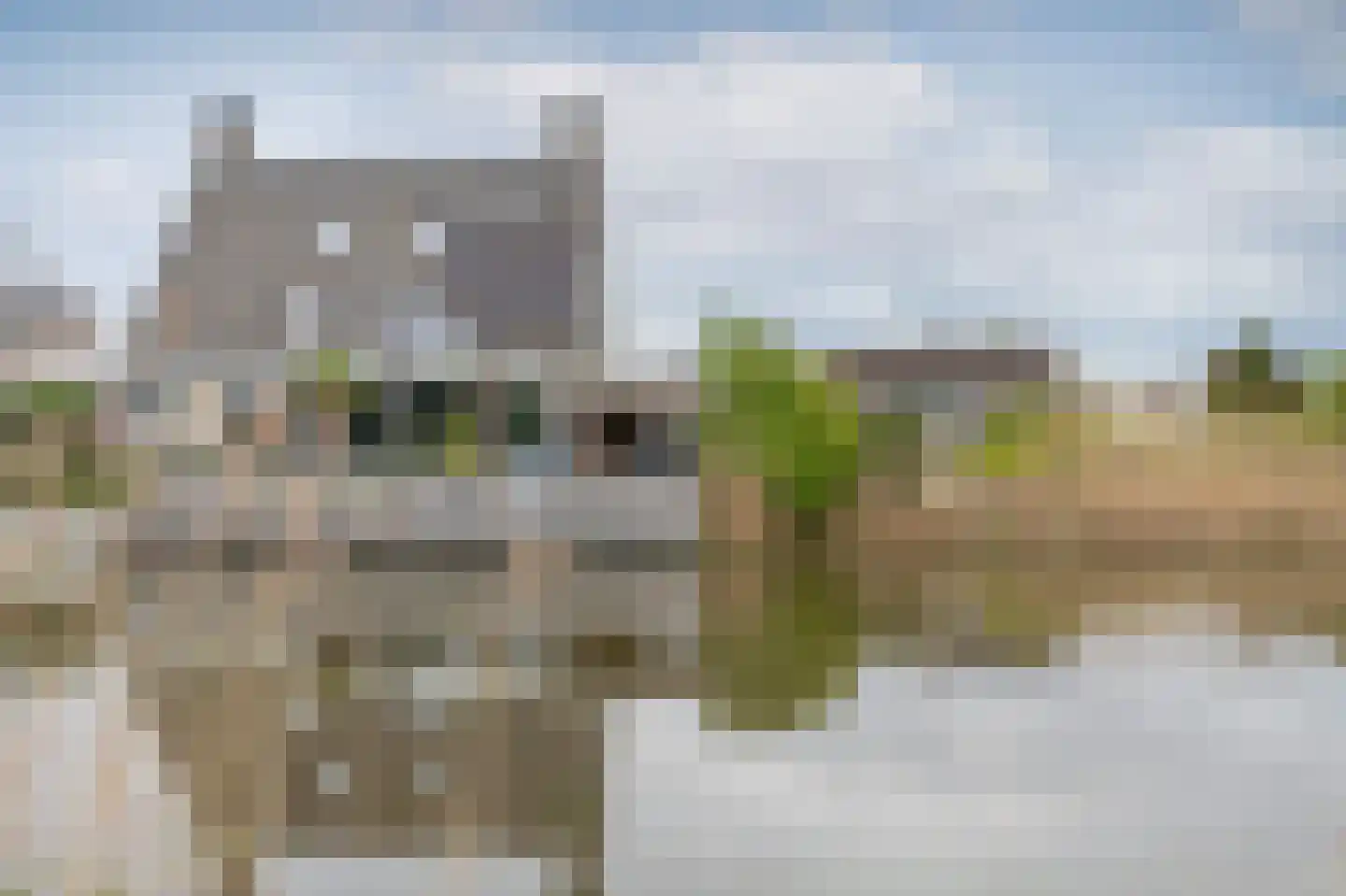Bonte Specht 27 Emmen thumbnail 38