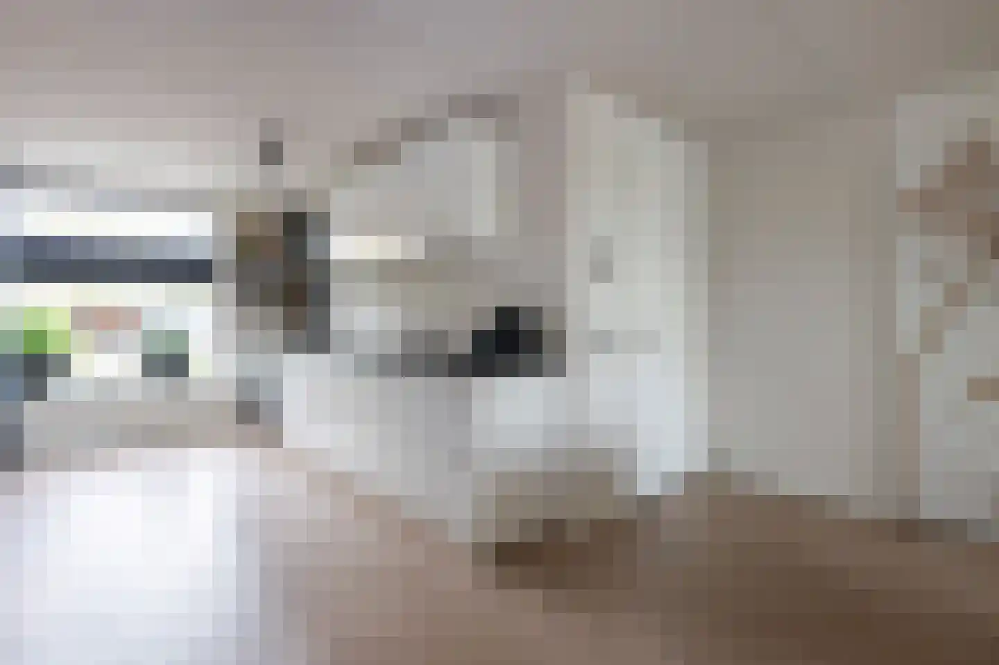 Bonte Specht 27 Emmen thumbnail 5