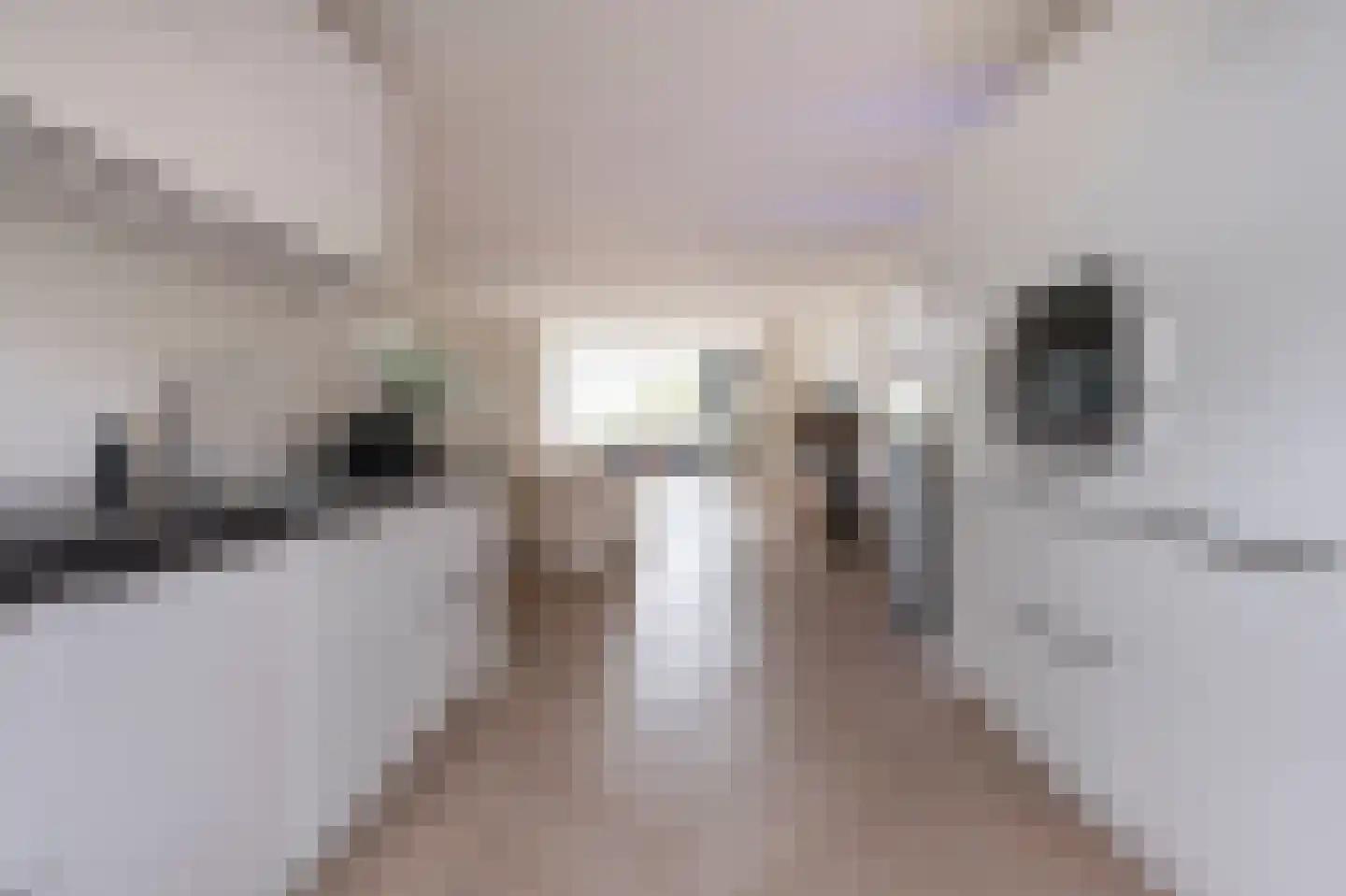 Bonte Specht 27 Emmen thumbnail 8