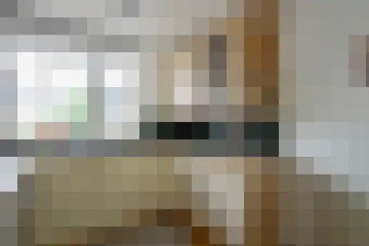 Bonte Specht 35 Emmen thumbnail 10