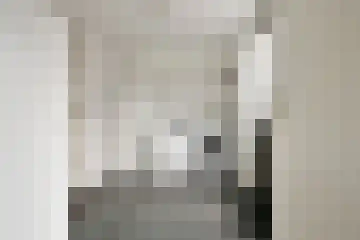 Bonte Specht 35 Emmen thumbnail 12